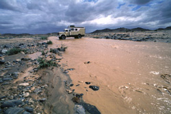 Westsahara, Algerien: Algerien: Expedition Hoggar, Tassili und Tadrart - Flussquerung nach Regenfllen