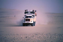 Westsahara, Algerien: Algerien: Expedition Hoggar, Tassili und Tadrart - Maggi in der Sandwste